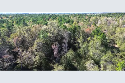 Tbd Fm 1280 East, Lovelady, TX 75851 - Photo 6