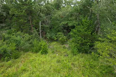 4199 Settlers Lane, Madisonville, TX 77864 - Photo 6