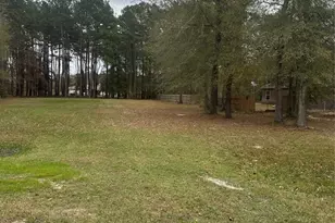 17107 Paluxy Ct, Splendora, TX 77372 - Photo 2