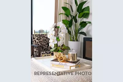 707 Native Meadow Drive, Richmond, TX 77406 - Photo 4