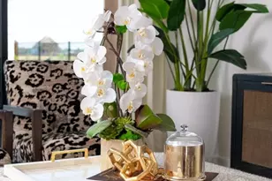 707 Native Meadow Drive, Richmond, TX 77406 - Photo 4