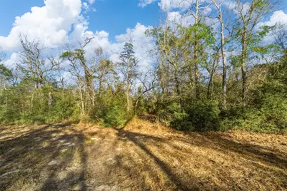 Tbd Farm To Market 979, Franklin, TX 77856 - Photo 10