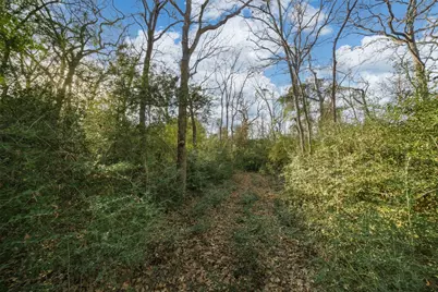 Tbd Farm To Market 979, Franklin, TX 77856 - Photo 8
