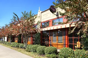 2905 W Dallas St, Houston, TX 77019 - Photo 20