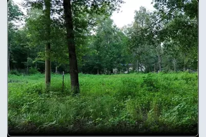 000 Panther Lane, Livingston, TX 77351 - Photo 2