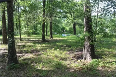 000 Panther Lane, Livingston, TX 77351 - Photo 6