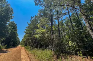 3 County Road 3230, Colmesneil, TX 75938 - Photo 1