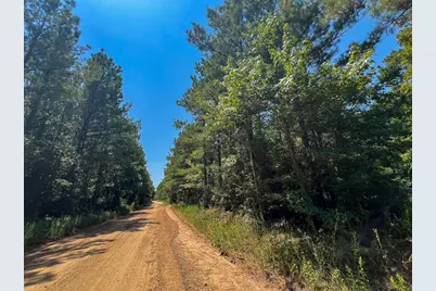 3 County Road 3230, Colmesneil, TX 75938 - Photo 6