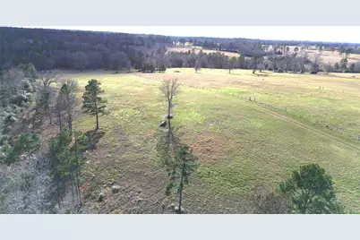 8084 E County Road 212, Buffalo, TX 75831 - Photo 4