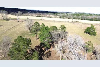 8084 E County Road 212, Buffalo, TX 75831 - Photo 2