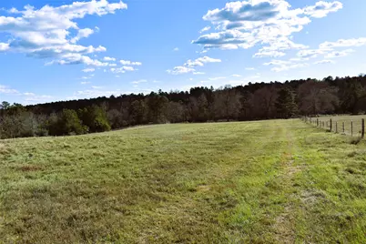 8084 E County Road 212, Buffalo, TX 75831 - Photo 6