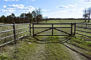 8084 E Co Rd 212, Buffalo, TX 75831 - Photo 1