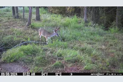 8084 E County Road 212, Buffalo, TX 75831 - Photo 20