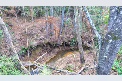 8084 E County Road 212, Buffalo, TX 75831 - Photo 16