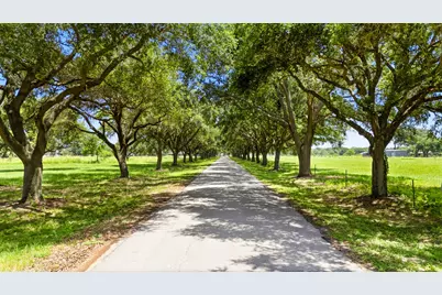 2603 River Road, Sealy, TX 77474 - Photo 6
