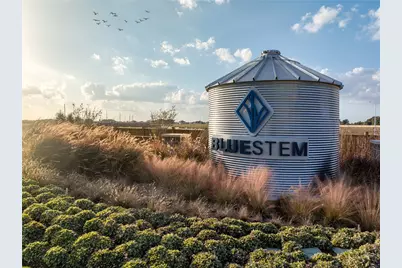 3009 Chestnut Lane, Brookshire, TX 77423 - Photo 26