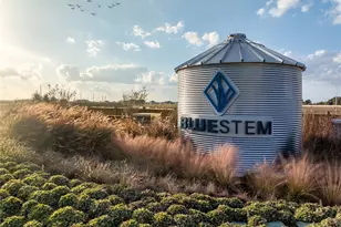 3009 Chestnut Ln, Brookshire, TX 77423 - Photo 26