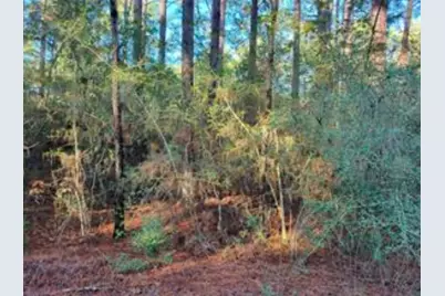 0000 Sioux Dr Drive, Hempstead, TX 77445 - Photo 8