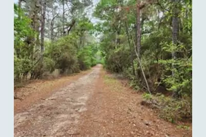 0000 Sioux Dr Drive, Hempstead, TX 77445 - Photo 4