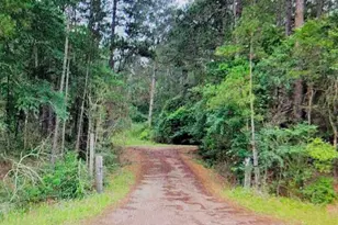 0000 Sioux Dr Dr, Hempstead, TX 77445 - Photo 1