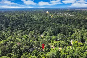 3 Hidden Deer Corner Ct, The Woodlands, TX 77381 - Photo 4