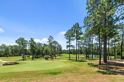 Lot 81 Sec 17 Sugarberry Drive, Brookeland, TX 75931 - Photo 6