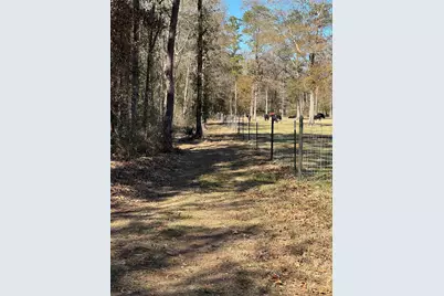 16 Ac Steede Rd, Montgomery, TX 77356 - Photo 6