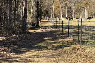 16 Ac Steede Rd, Montgomery, TX 77356 - Photo 6