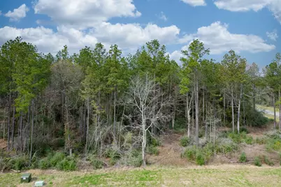 12737 Oak Barrel Road, Willis, TX 77378 - Photo 4