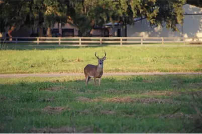 106 Horse Shoe Trail, Angleton, TX 77515 - Photo 6