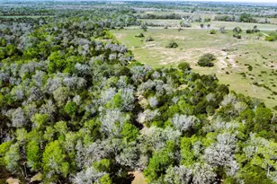 Tbd County Road 138, Hallettsville, TX 77964 - Photo 4