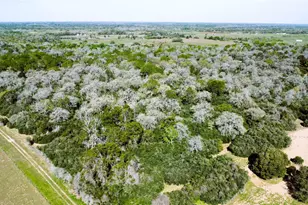 Tbd County Road 138, Hallettsville, TX 77964 - Photo 28