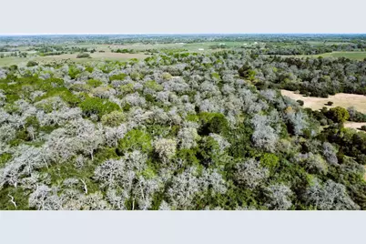 Tbd County Road 138, Hallettsville, TX 77964 - Photo 16