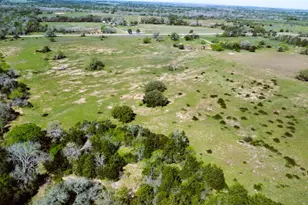 Tbd County Road 138, Hallettsville, TX 77964 - Photo 10