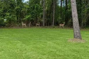 12226 E Border Oak Dr, Magnolia, TX 77354 - Photo 48
