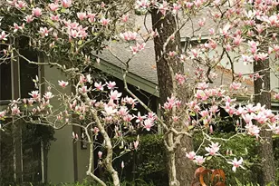 611 St Andrews Rd, Kingwood, TX 77339 - Photo 42