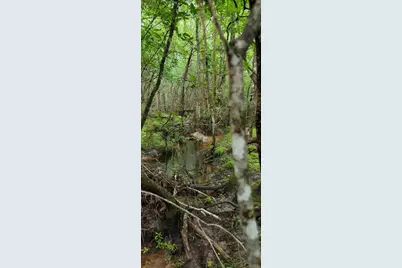 1720 County Road 1550, Warren, TX 77664 - Photo 12