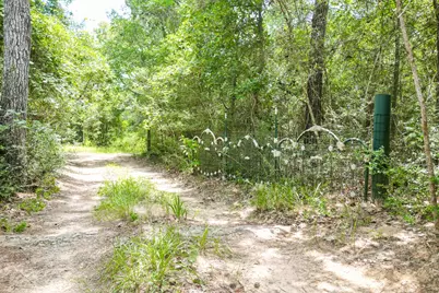 8464 Carolyn Court, Plantersville, TX 77363 - Photo 48