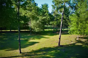 59 Beaconsfield Dr, Magnolia, TX 77355 - Photo 46