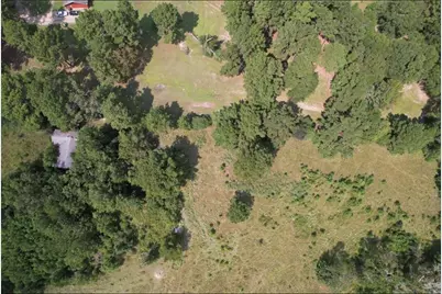 4.3 Ac Lacy 3 Rd, Groveton, TX 75845 - Photo 4