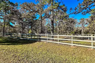 116 Tammy Cir, Plantersville, TX 77363 - Photo 40