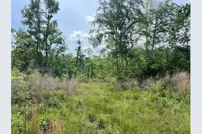 Tbd J Hickman Road, Leggett, TX 77350 - Photo 12