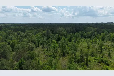 Tbd J Hickman Road, Leggett, TX 77350 - Photo 2