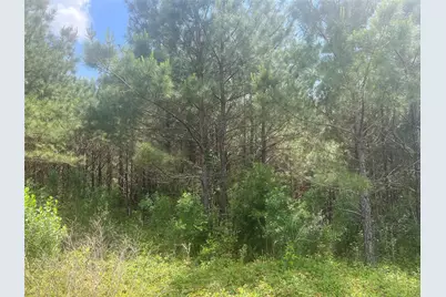 Tbd J Hickman Road, Leggett, TX 77350 - Photo 8