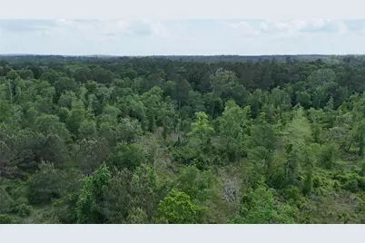 Tbd J Hickman Road, Leggett, TX 77350 - Photo 6