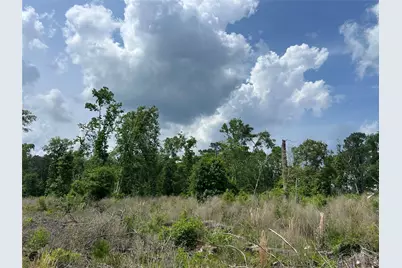 Tbd J Hickman Road, Leggett, TX 77350 - Photo 14