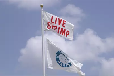 7 Half Moon, Hitchcock, TX 77563 - Photo 28