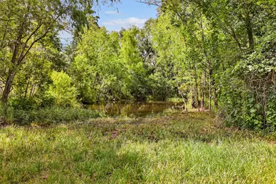 22825 Birch Street, Porter, TX 77365 - Photo 12