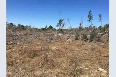 Lot11 County Road 175, Garrison, TX 75946 - Photo 2