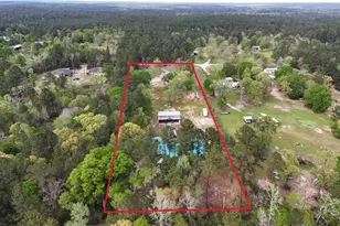 14770 Peterson Rd, Montgomery, TX 77356 - Photo 12